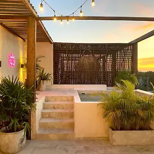 https://casa-tropical-penthouse-with-rooftop-private-pool.quintano-roohotels.com