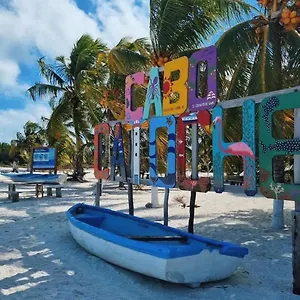 https://mi-habitat-holbox-maravilla-natural.quintano-roohotels.com